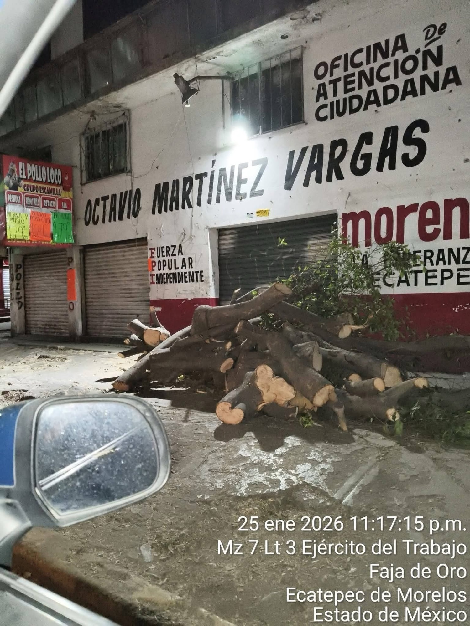 Ecocidio con fuero: denuncian tala de árboles para “mejorar la vista” de oficinas del diputado Octavio Martínez en Ecatepec